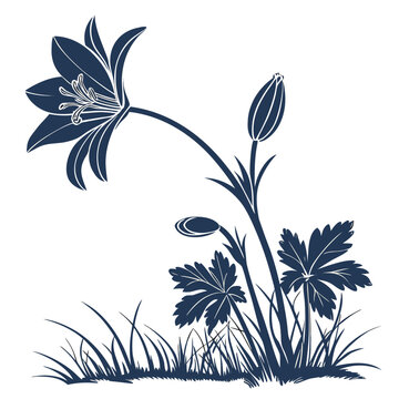 bloodroot silhouette on white background