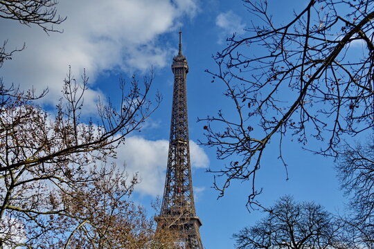 Tour Eiffel, branches d'arbres en hiver, ciel bleu. Paris, France.