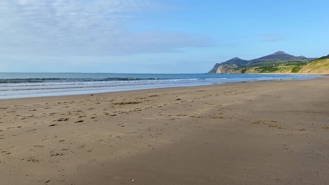 Two dogs on the Nefyn sandy beach located near Pwllheli