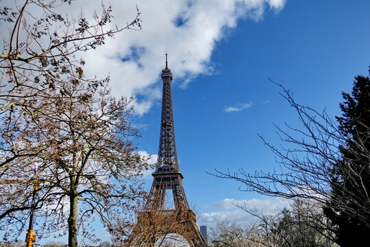 Tour Eiffel, branches d'arbres en hiver, ciel bleu. Paris, France.