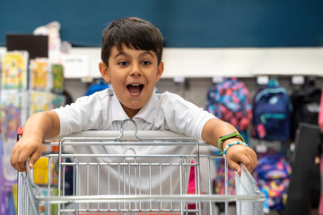 happy and excited kid with shopping cart buying school supplies © Komuso & Colorsandia