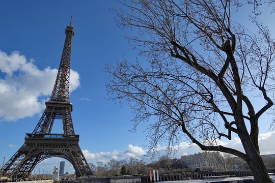 Tour Eiffel, ciel bleu et arbres sans feuilles.