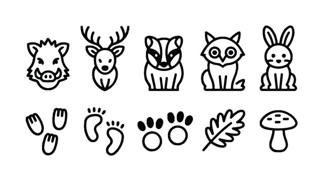 black line drawn forest animal icons and tracks on white background