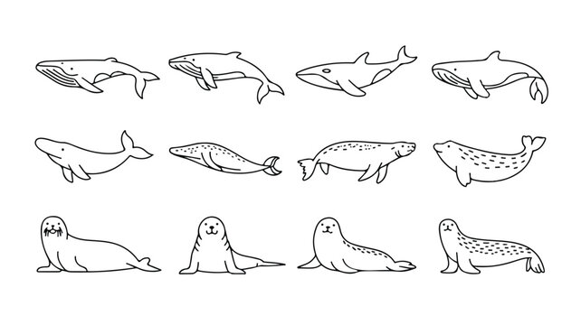 set of various sea mammals and marine animals illustrations