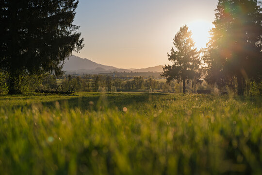 Scenic Bavarian landscape in Schwangau at sunset with lush green meadow, silhouettes of trees and Alps in golden light