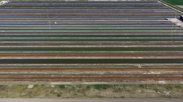 Yellowtail Fish Farm Kats Zeeland Aerial View