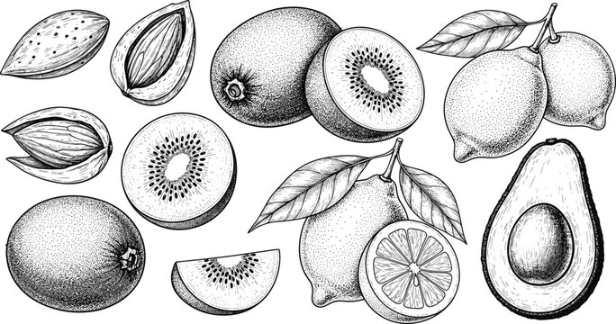 Detailed Hand Drawn Vintage Fruit Collection Featuring Engraved Sketches of Kiwi Lemon Avocado and Almonds for Organic Food Branding Healthy Menu and Botanical Product Packaging Designs