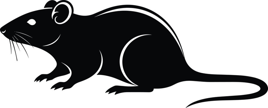 Detailed black silhouette of a rat or mouse in an alert side view profile isolated on white