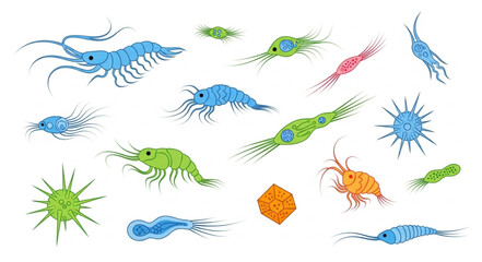 Collection of various microscopic marine organisms and plankton. © Putra