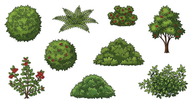 Collection of various green garden plants and trees.