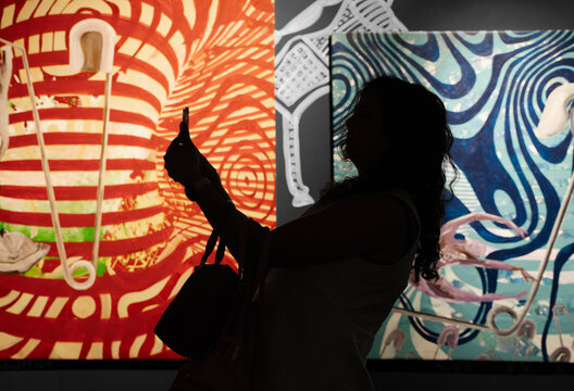 Silhouette of a visitor at an art exhibition in Delhi