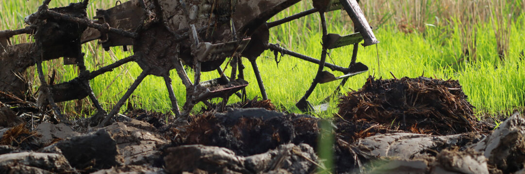 Close up of hand tractor wheel and blade plowing through wet muddy soil in rice paddy field in rural Indonesia