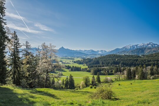 Scenic panoramic view from Eisenberg of lush green spring meadows and the Bavarian Alps with blooming trees under a clear blue sky