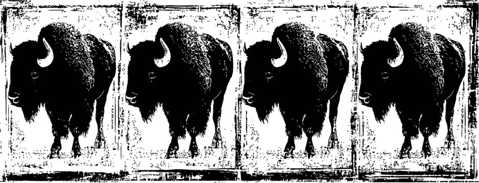 vintage black and white bison illustration repeated four times in a row