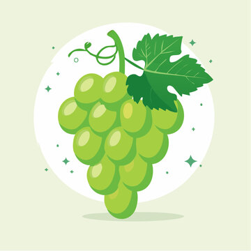 Illustration of a bunch of green grapes with a leaf