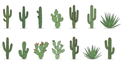 Various Cacti and Succulents in 2D AutoCAD Illustrations of Desert Plants © Stock Image Paradise