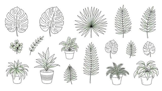 vector set of plants