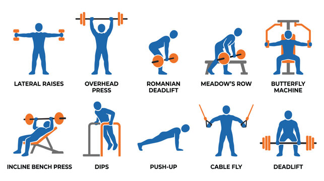 Fitness exercises with equipment and bodyweight for strength training.