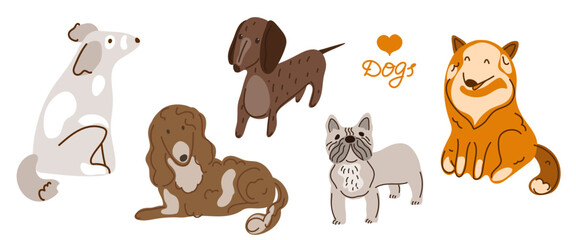 Fototapeta premium Cute dog breed set. Funny puppy collection for pet shop decor, animal clinic poster, dog lover sticker design. Vector illustration