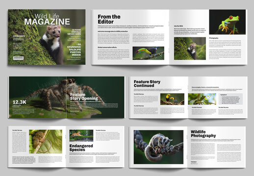 Wildlife Photography Magazine