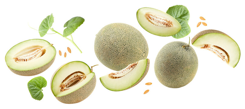 melon isolated on white background. fresh melon. clipping path