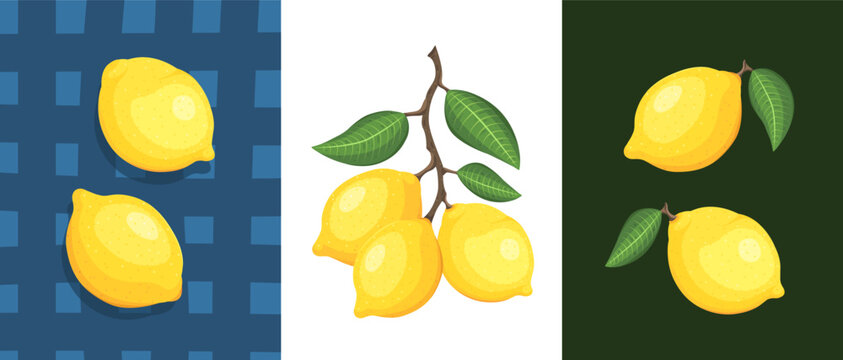 Lemon vector set isolated on white background. Yellow lemons collection with green leaves and branches. Juicy citrus fruit illustrations for lemonade. Fresh lemon groups and single fruits with shadows