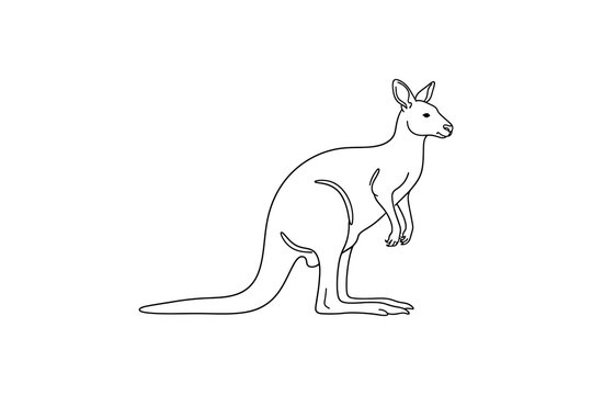 Minimalist black and white line of a standing kangaroo