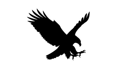 Obraz premium Black Silhouette Of Eagle Descending With Talons Out Ready To Strike