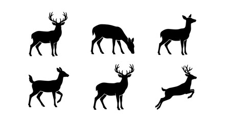 Fototapeta premium vector silhouette set of six deer black on white background