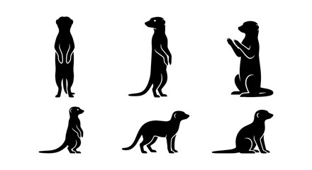 Meerkat Silhouettes, Six Poses Vector Set: Standing, Sitting, Alert Wildlife Animal Icons for Nature and Safari Designs © Shahinur