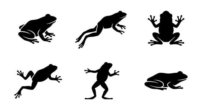 vector frog silhouette set black and white