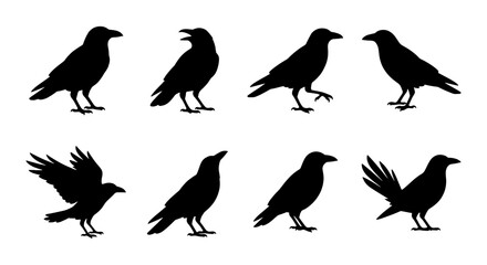 Obraz premium Black Crow Silhouettes, Raven Icons, Bird Poses Vector Set, Gothic Animal Graphics