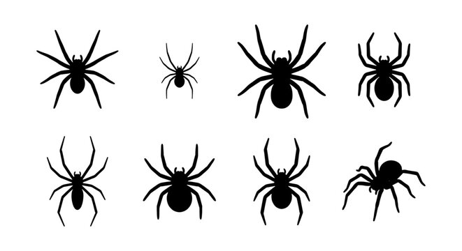 Spider Icons Set, Black Arachnid Vector Graphics, Creepy Crawly Insect Illustrations, Halloween Themed Bug Silhouettes