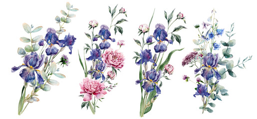 An exquisite watercolor floral arrangement. Vibrant bouquets of irises and peonies with eucalyptus greenery create elegant botanical illustrations for wedding invitations, greeting cards. © Antonina Rushkina