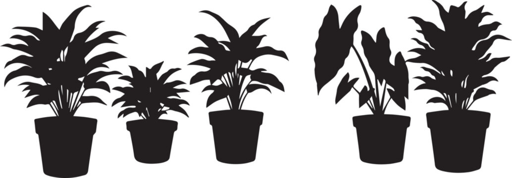 Potted Houseplants and Tropical Leaf Silhouettes Icon Set