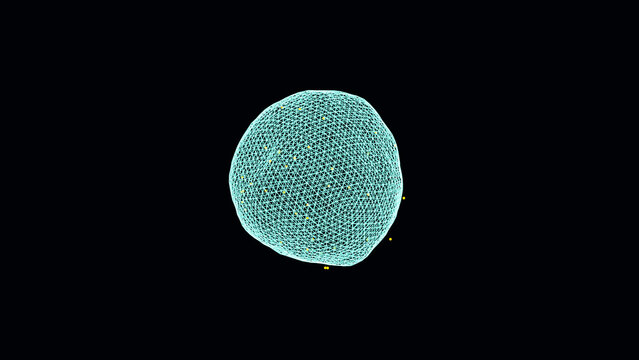 radiolarian pulse
