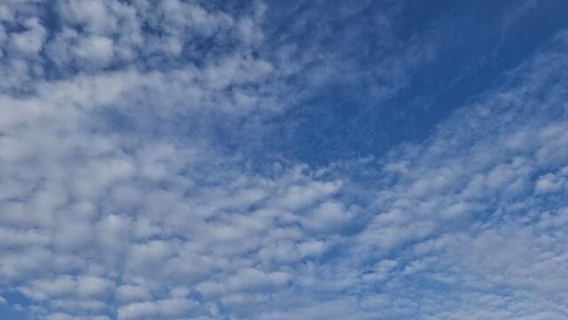 Stunning wide view of a bright blue daytime sky completely filled with a beautiful textured layer of patchy white altocumulus clouds