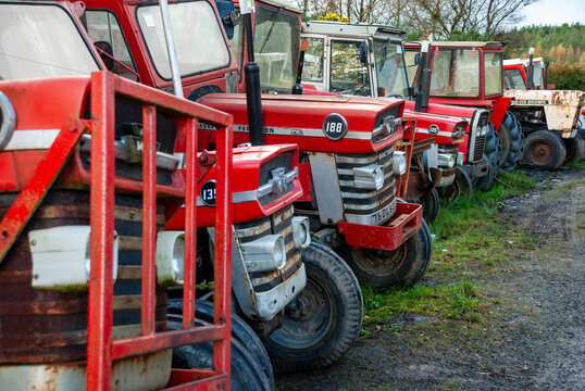 Collection of vintage Massey Ferguson tractors resting in a farmyard. The weathered, rust-patinated machines evoke a sense of agricultural heritage and rustic nostalgia.