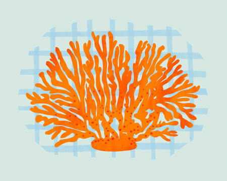 Ocean coral on pale blue background illustration