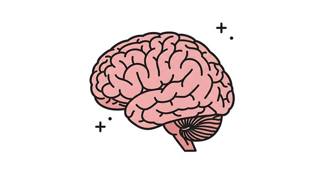 Brain illustration with creative thinking concept.