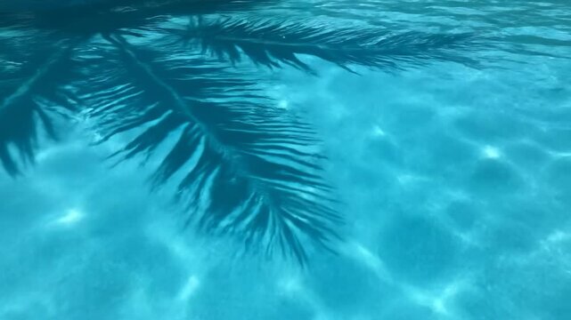Clear blue water reflecting the silhouette of palm tree leaves