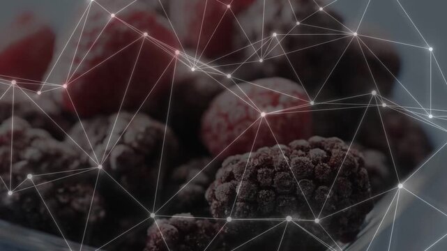 Camera starting soft blur, shifting focus to frozen berries, wireframe brightening, revealing frost