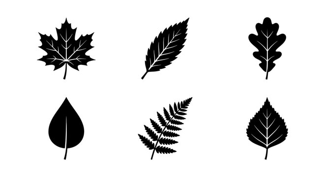 Diverse Leaf Silhouettes Collection, Autumn Foliage Icons, Botanical Vector Elements, Nature Graphics Set