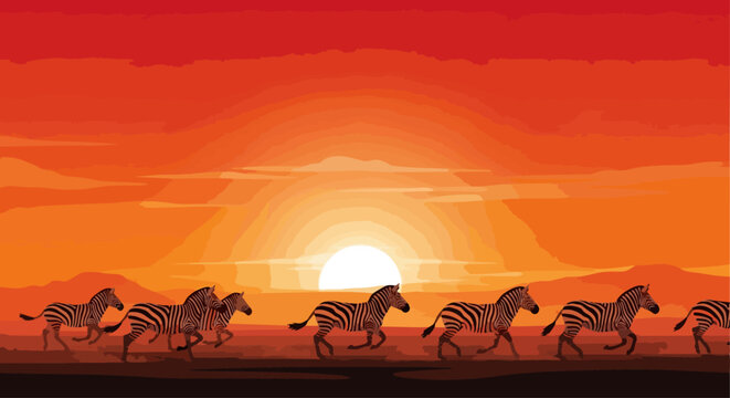 Zebras running in savanna at sunset vector illustration