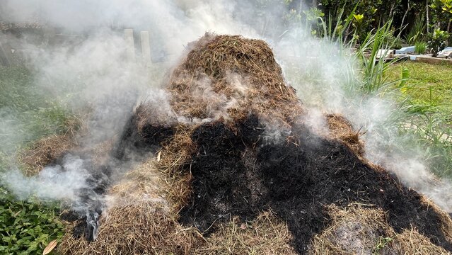 Blowing Smoke From Burning Grass