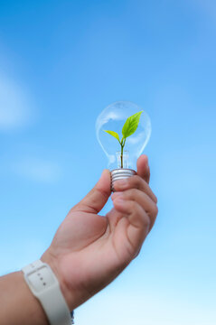 Renewable energy concept Earth Day or environment protection Hands protect forests that grow on the ground and help save the world.
