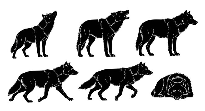Set of Wolf Silhouettes in Various Poses