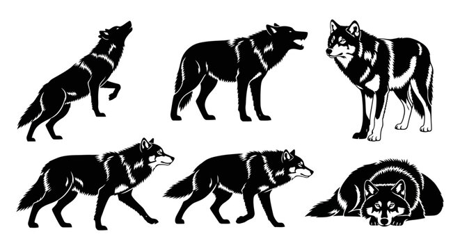 Wolf silhouettes collection in various poses ? wild animal graphic set