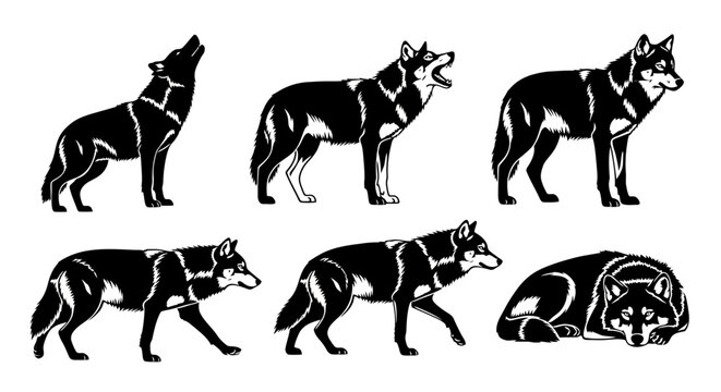 Set of Black and White Wolf Silhouettes in Various Poses