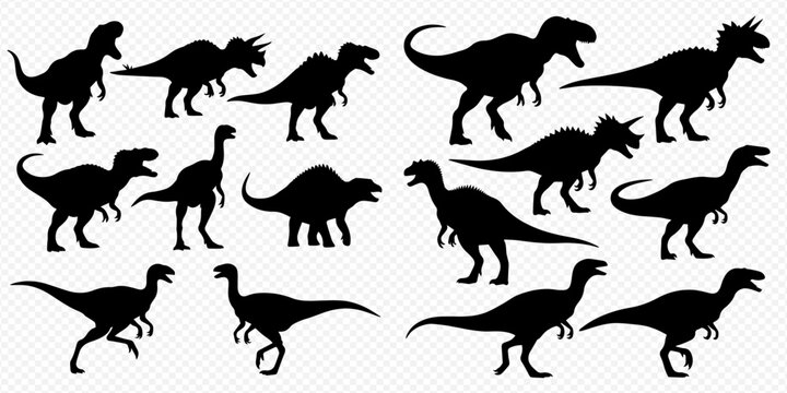 Collection of various dinosaur silhouettes in different poses, prehistoric animal shapes for design elements.